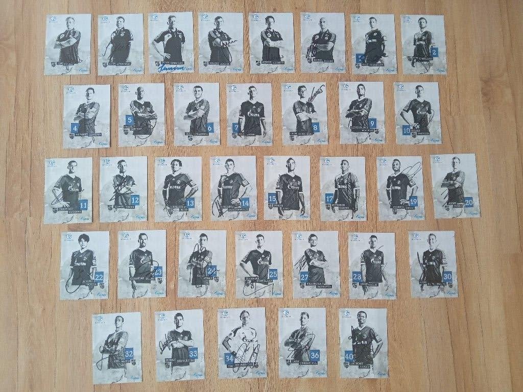 Gesigneerde 2013-2014 spelerskaarten van Schalke 04, Ophalen of Verzenden, Nieuw, Clubaccessoires