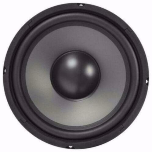 Bas Speaker 250 Watt 25 Cm 8 Ohm [214-T], Audio, Tv en Foto, Luidsprekerboxen, Ophalen of Verzenden, Nieuw, Overige typen