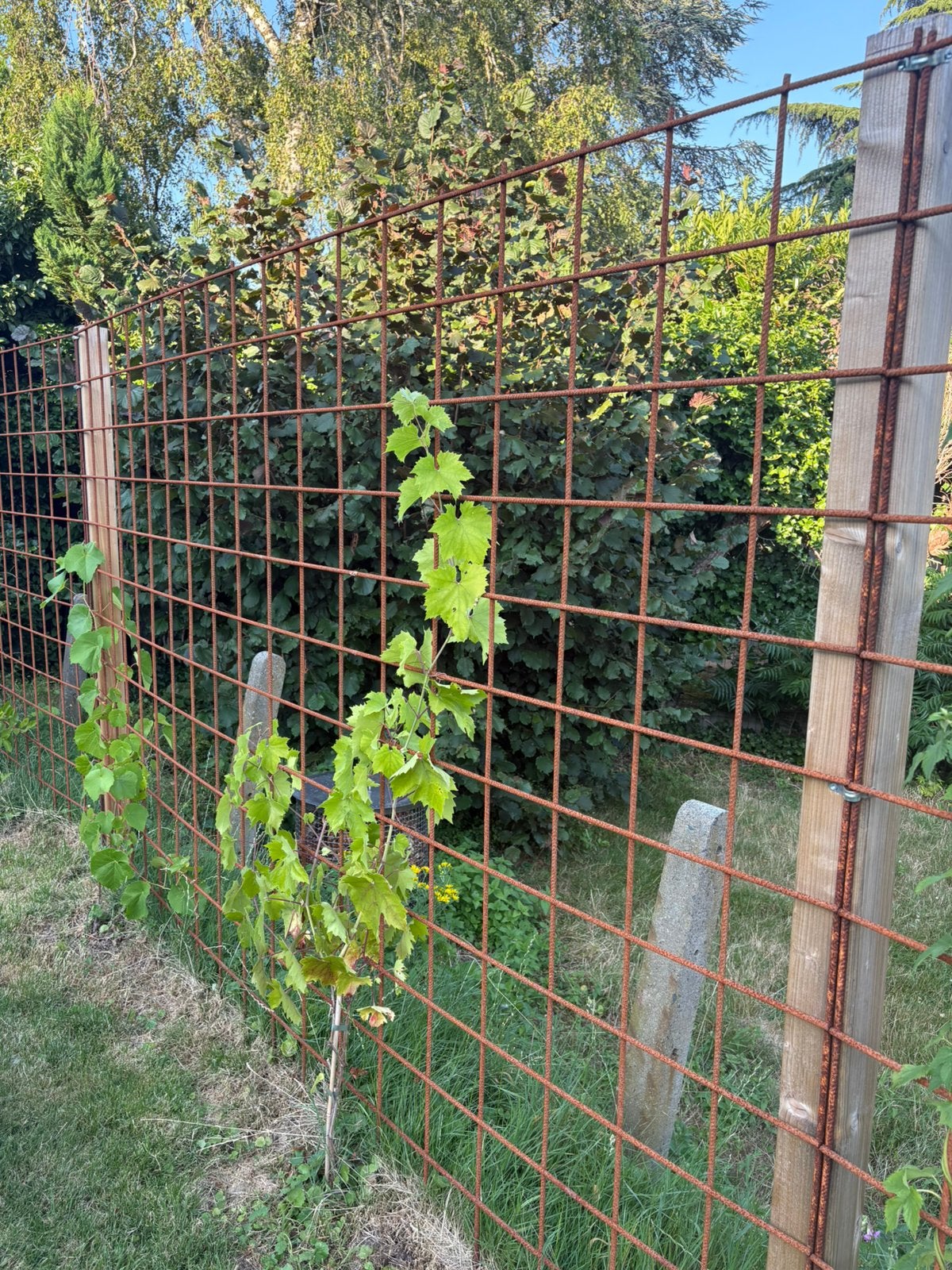 Betonner 2x3m 8mm, Ophalen, Zo goed als nieuw