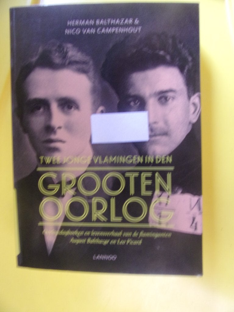 WO 1 =Twee jonge Vlamingen in WO 1 (oorlogsdagboeken), Ophalen of Verzenden, Voor 1940, Zo goed als nieuw
