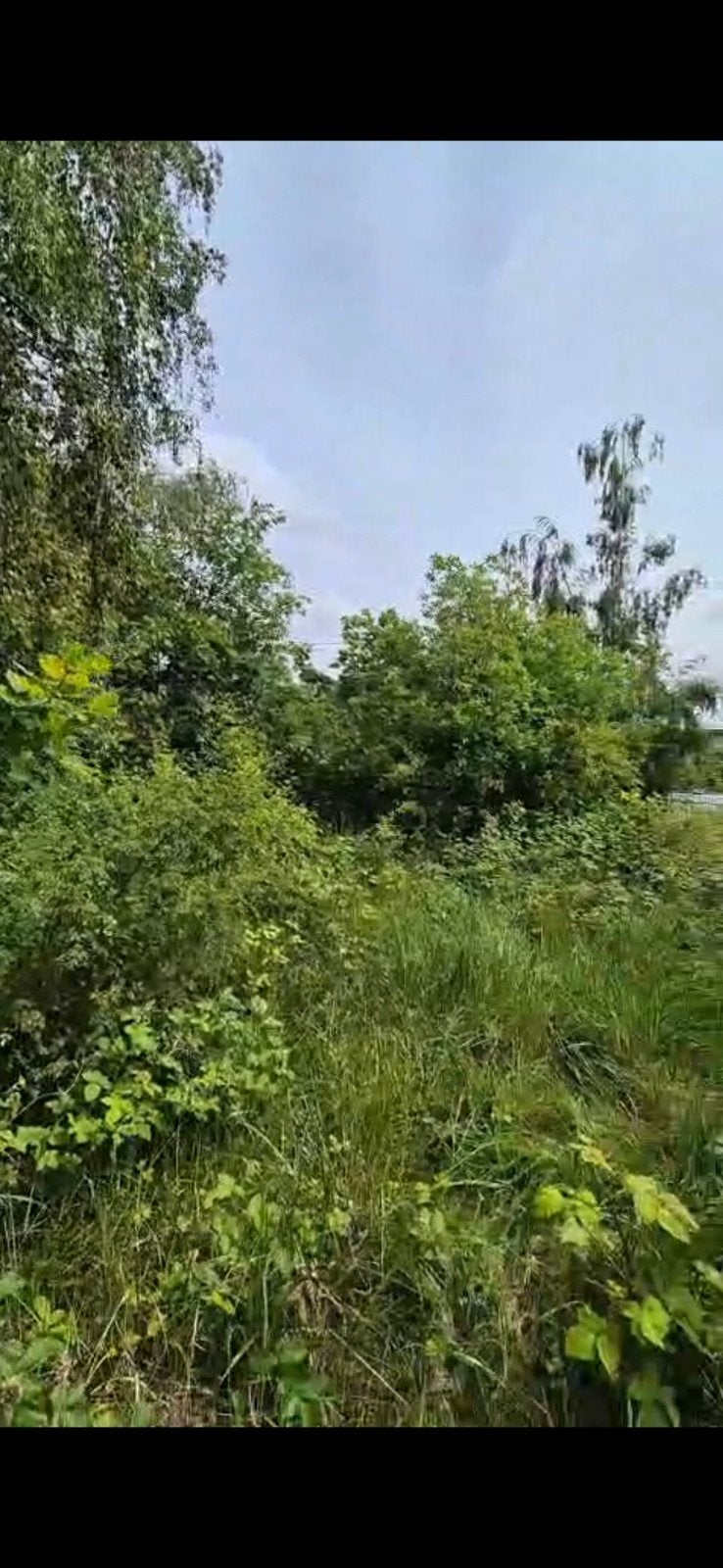Tuin te huur, Tuin en Terras, Ophalen
