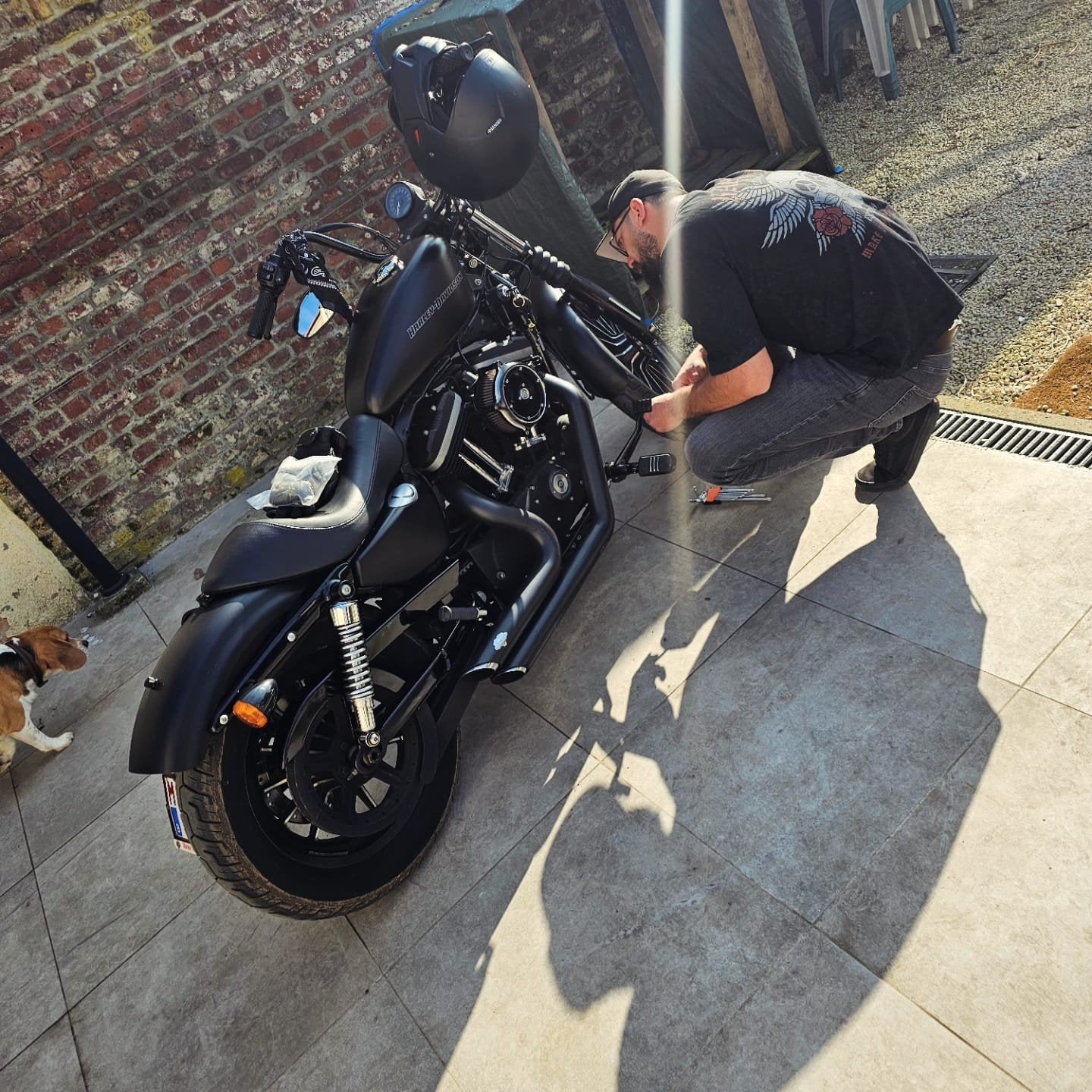 Harley davidson 883 . Sportser, Motos, Enlèvement