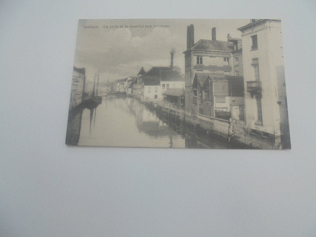 mechelen- de dijle en de vismarkt, Verzenden, 1920 tot 1940, Ongelopen, Antwerpen