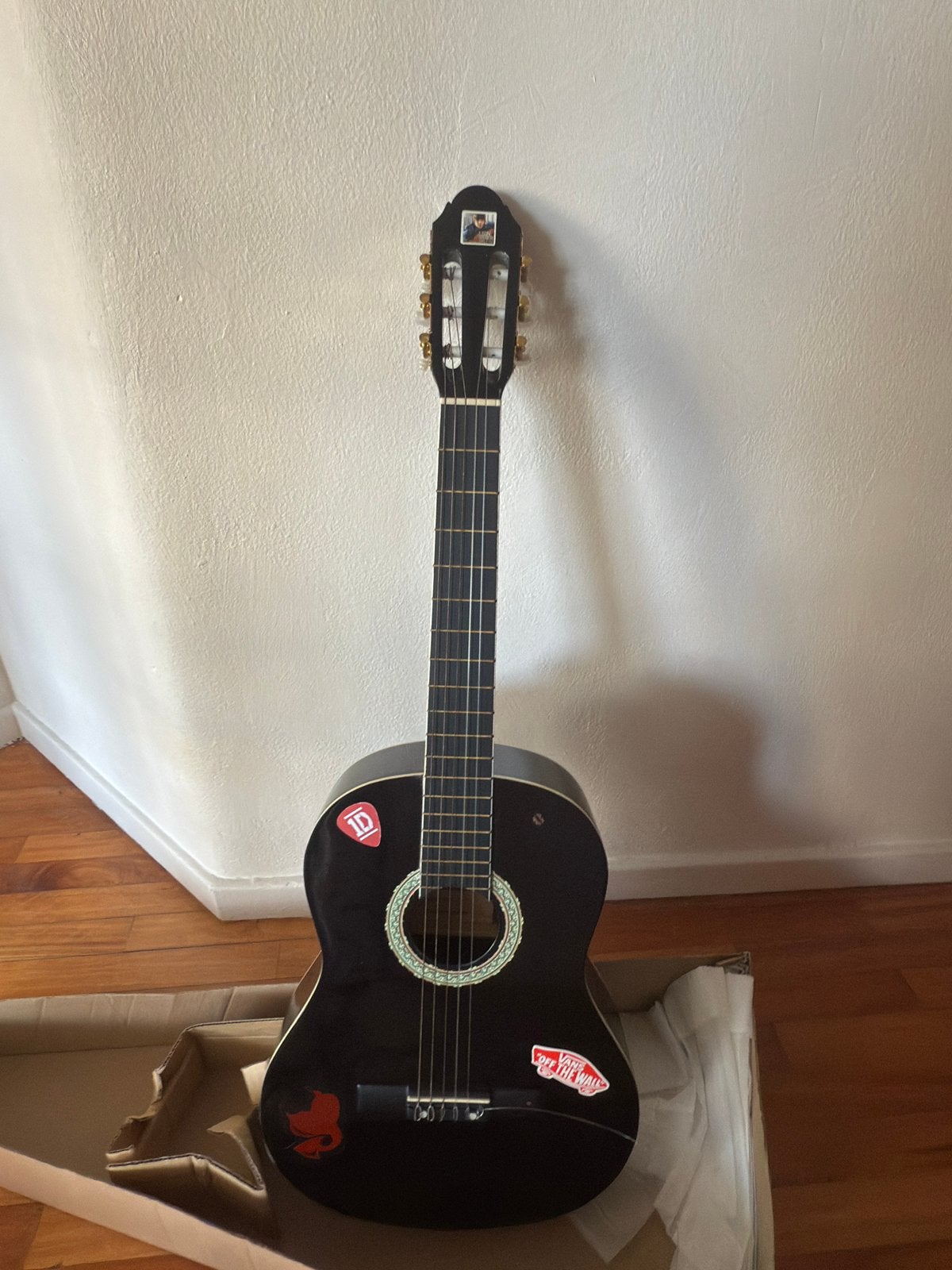 Guitare classique XP AG603RD, Enlèvement