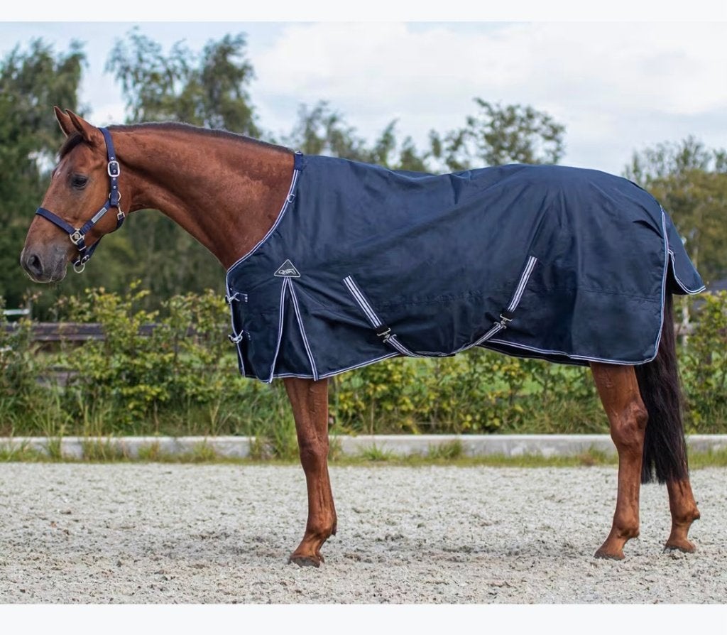 Couverture de pluie QHP Turnout luxury 100 g, Animaux & Accessoires, 100 g, Bleu, Couverture, Enlèvement