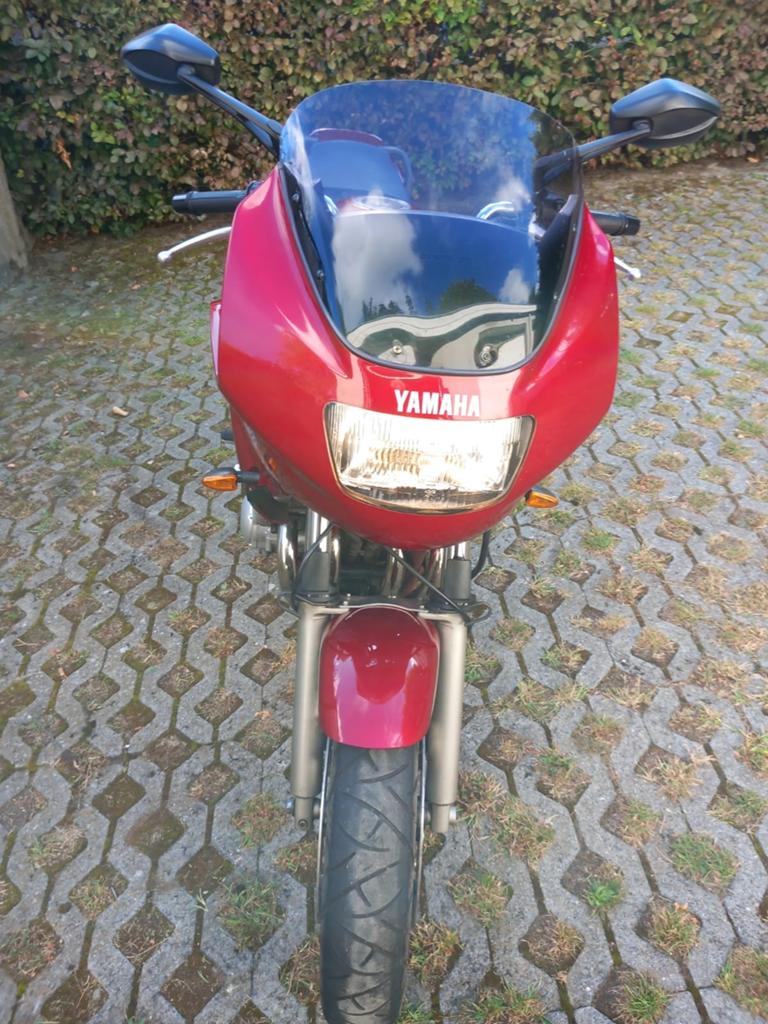 Yamaha Diversion, Particulier