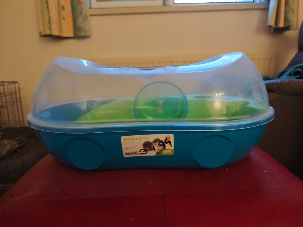 Cage hamster, Enlèvement