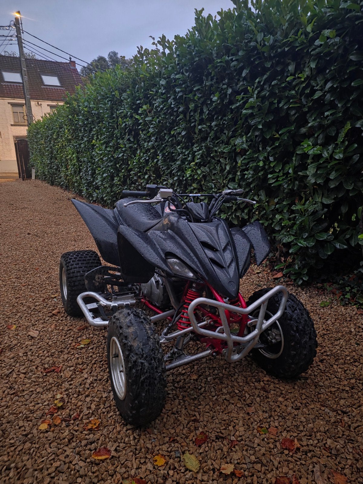 Yamaha Raptor 350cc, Motoren, Ophalen