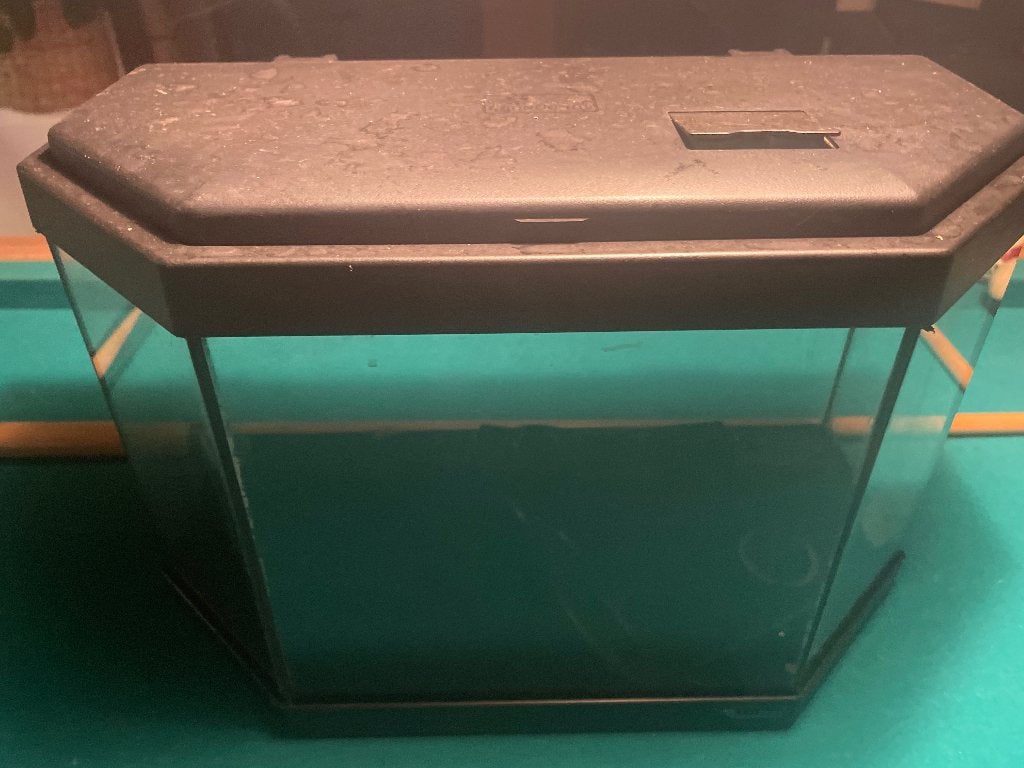 Aquarium, Enlèvement, Comme neuf