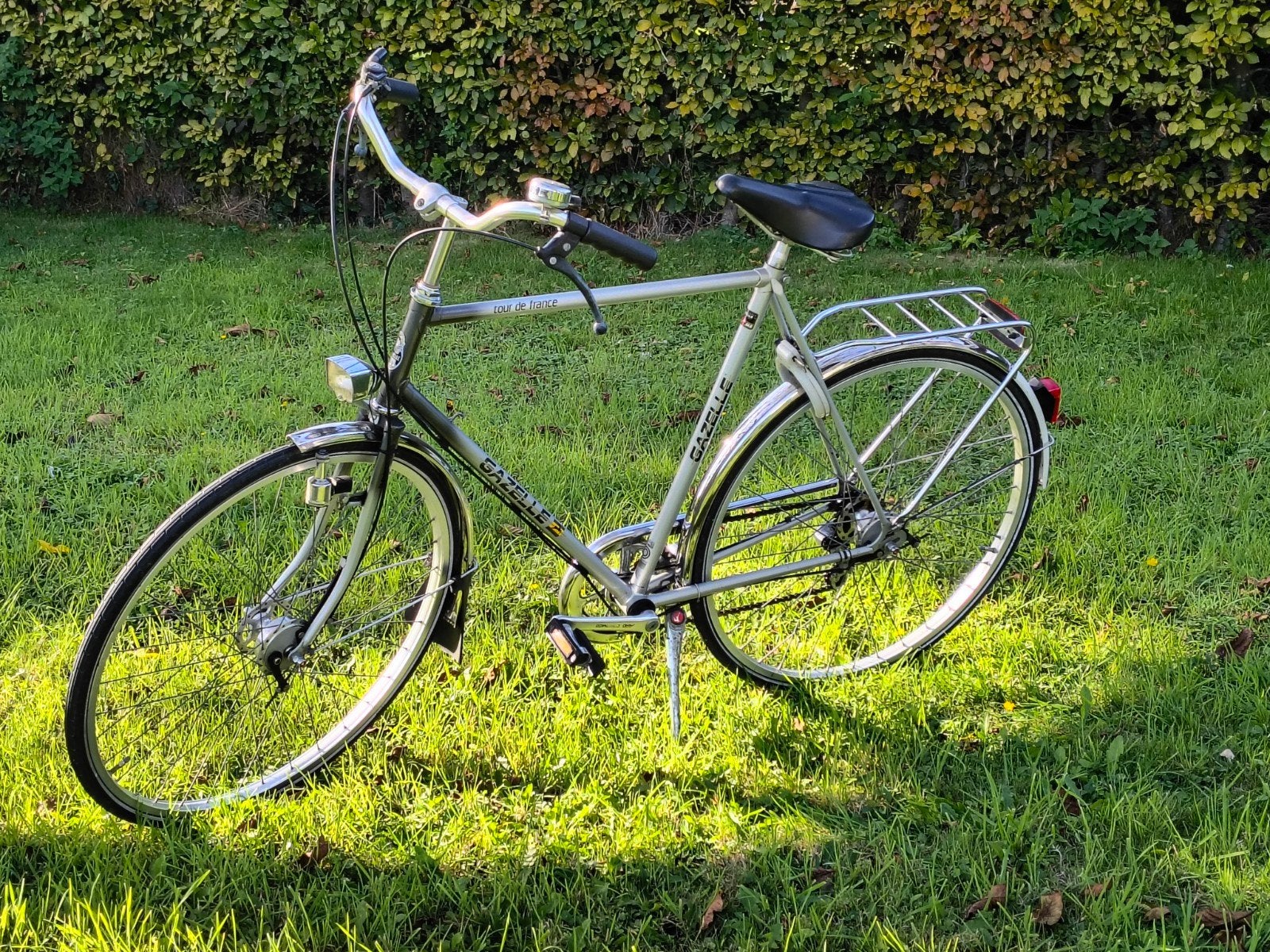 gazelle tour de France, Enlèvement