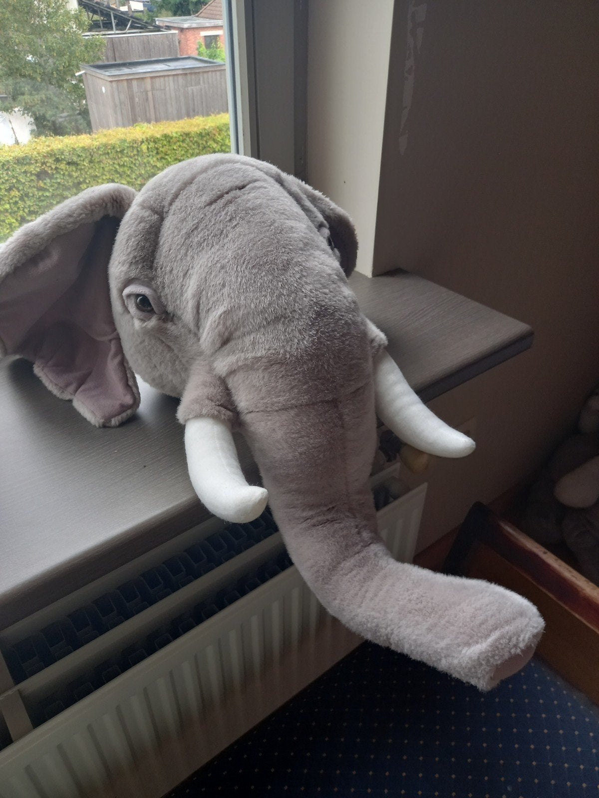 olifant wandknuffel, Ophalen, Olifant