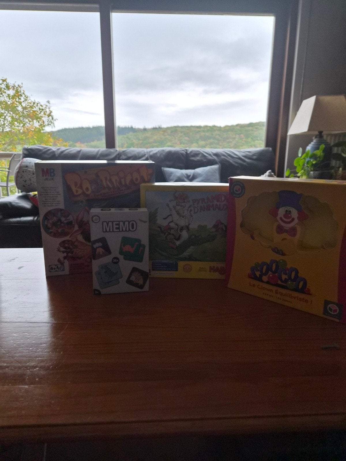 jeux de société/enfants en excellent état, Enlèvement
