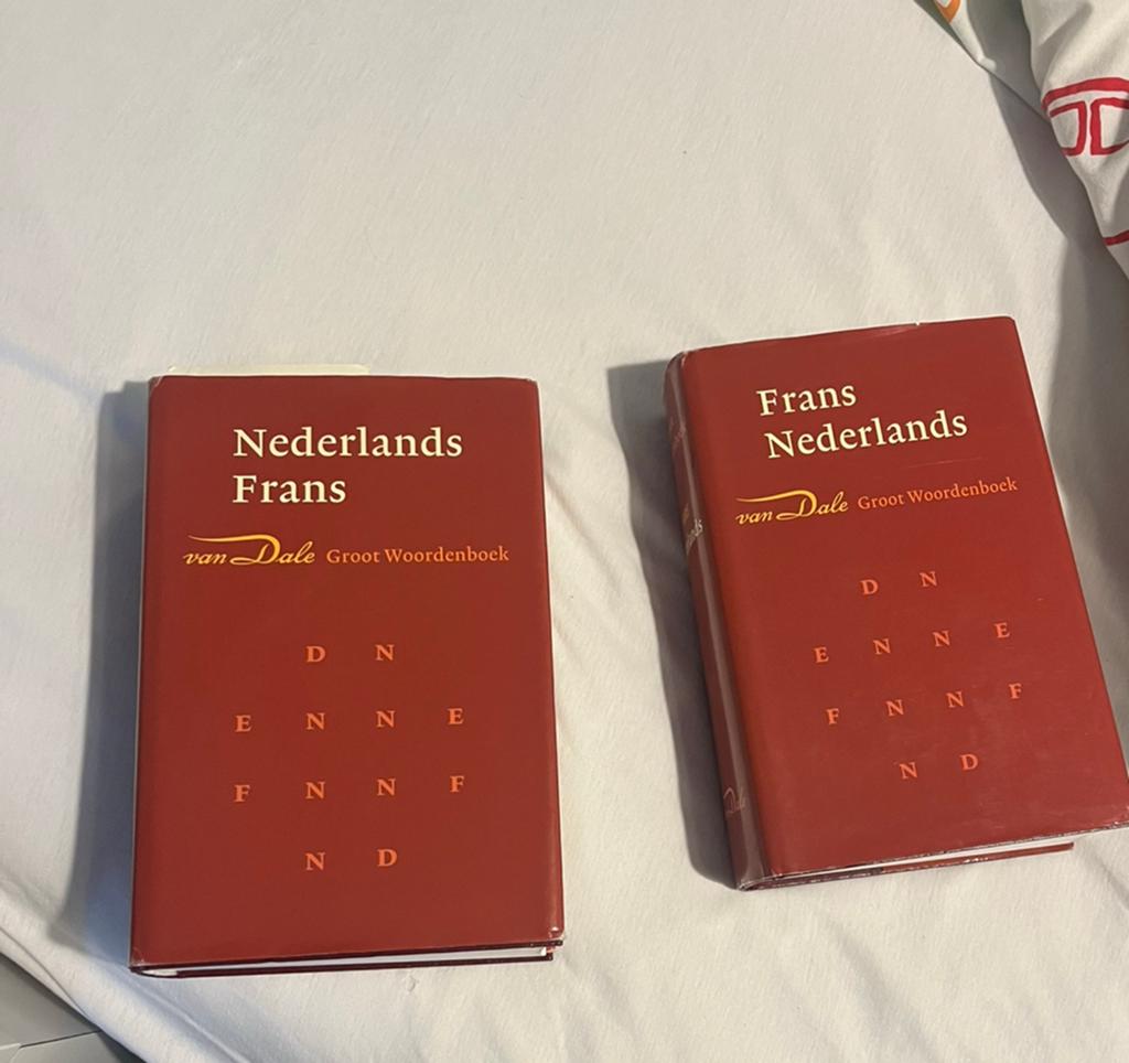 Van Dale groot woordenboek Frans-Nederlands, Boeken, Woordenboeken, Ophalen of Verzenden, Zo goed als nieuw, Van Dale, Frans