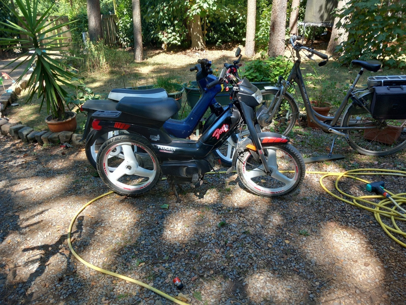peugeot fox, Fietsen en Brommers, Brommers | Peugeot, Ophalen, Klasse A (25 km/u), Fox, Zo goed als nieuw