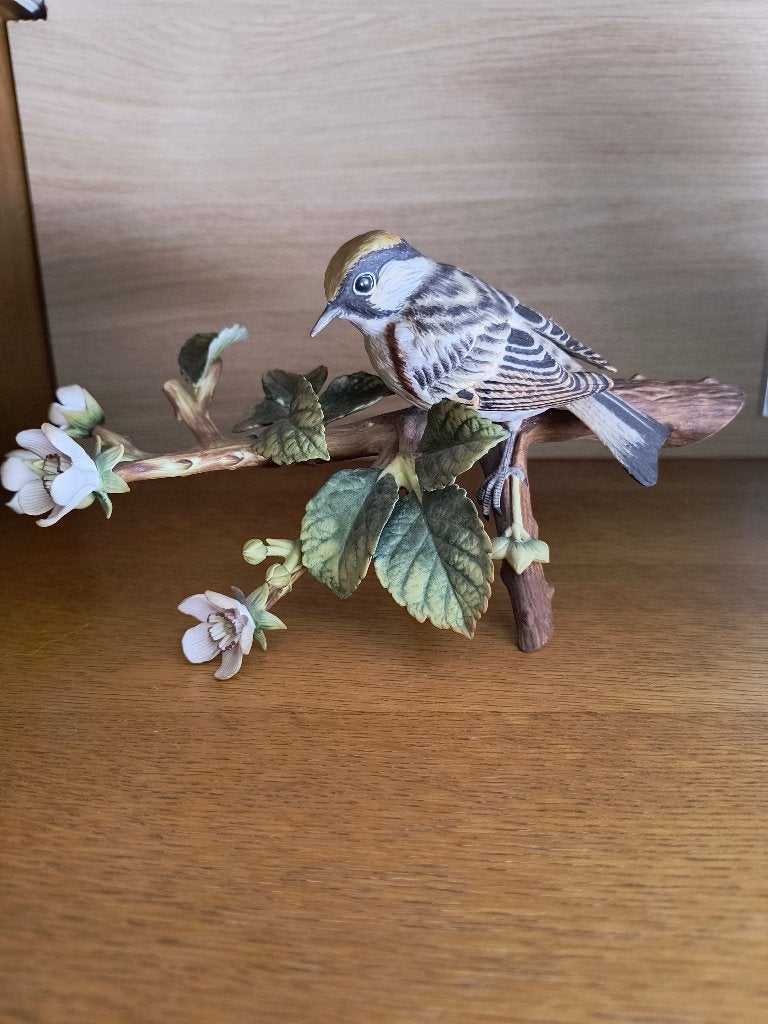 "Chestnut-sided Warbler" - Franklin mint Porcelain 1980, Ophalen, Zo goed als nieuw, Dier