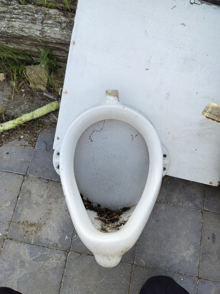 Urinoir, Enlèvement, Utilisé, Toilettes