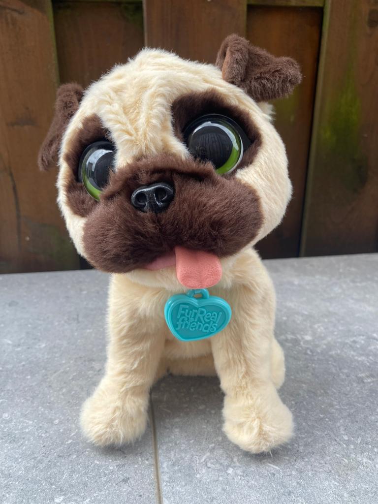 Furreal Mopshond, Ophalen, Zo goed als nieuw