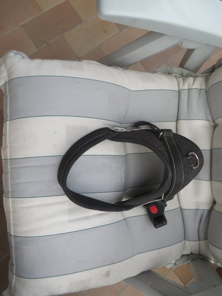 collier pour chien, Animaux & Accessoires, Enlèvement