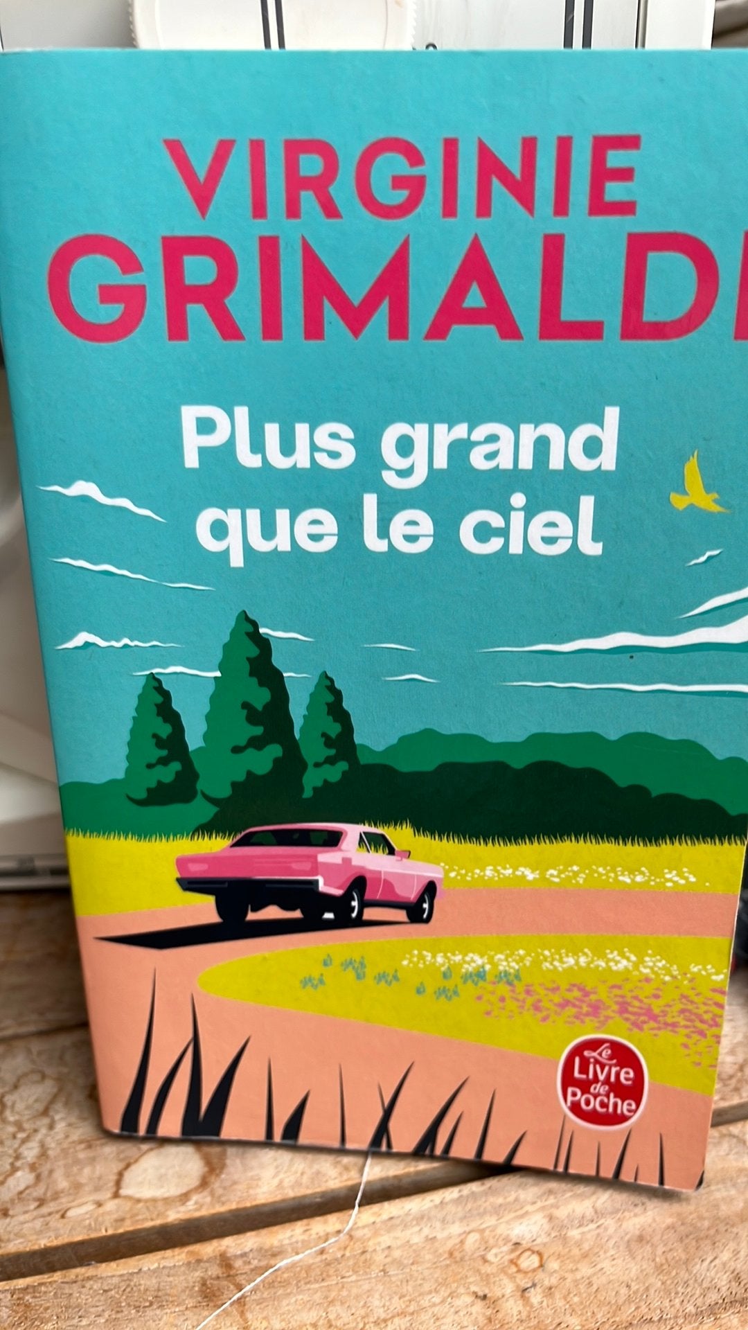 Virginie grimaldi, Enlèvement, Comme neuf