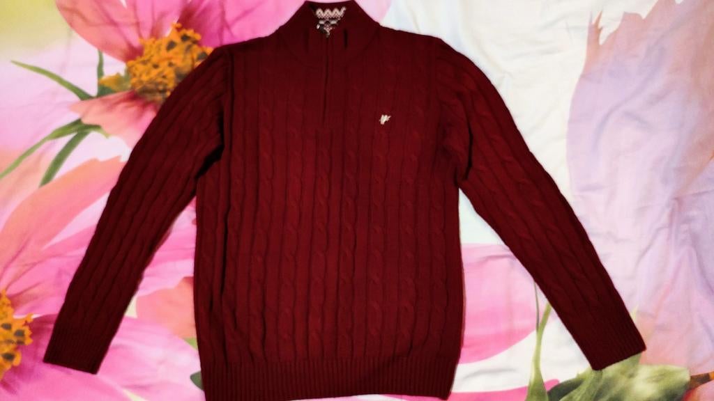 Rode pull Denim Culture maat XL, Denim culture, Maat 46/48 (XL) of groter, Ophalen of Verzenden, Gedragen