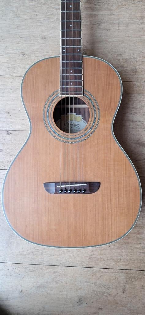 Washburn WP21SNS Parlor Solid Top, Muziek en Instrumenten, Ophalen of Verzenden