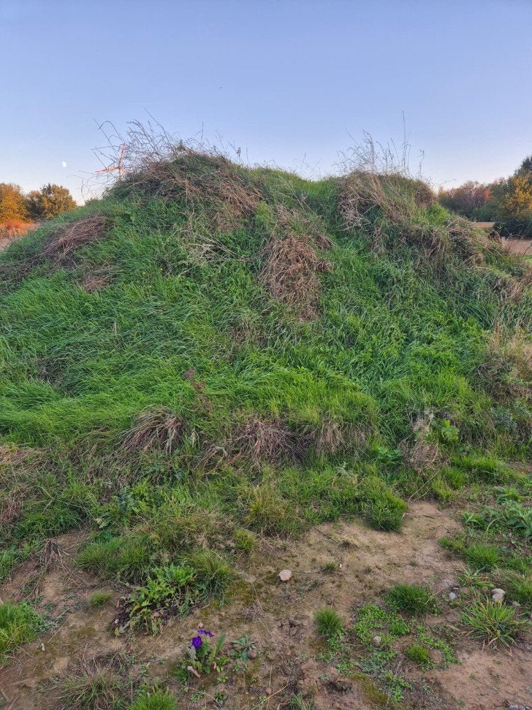 Teelaarde - Zwarte grond, Enlèvement, Neuf, Sable pour remblai