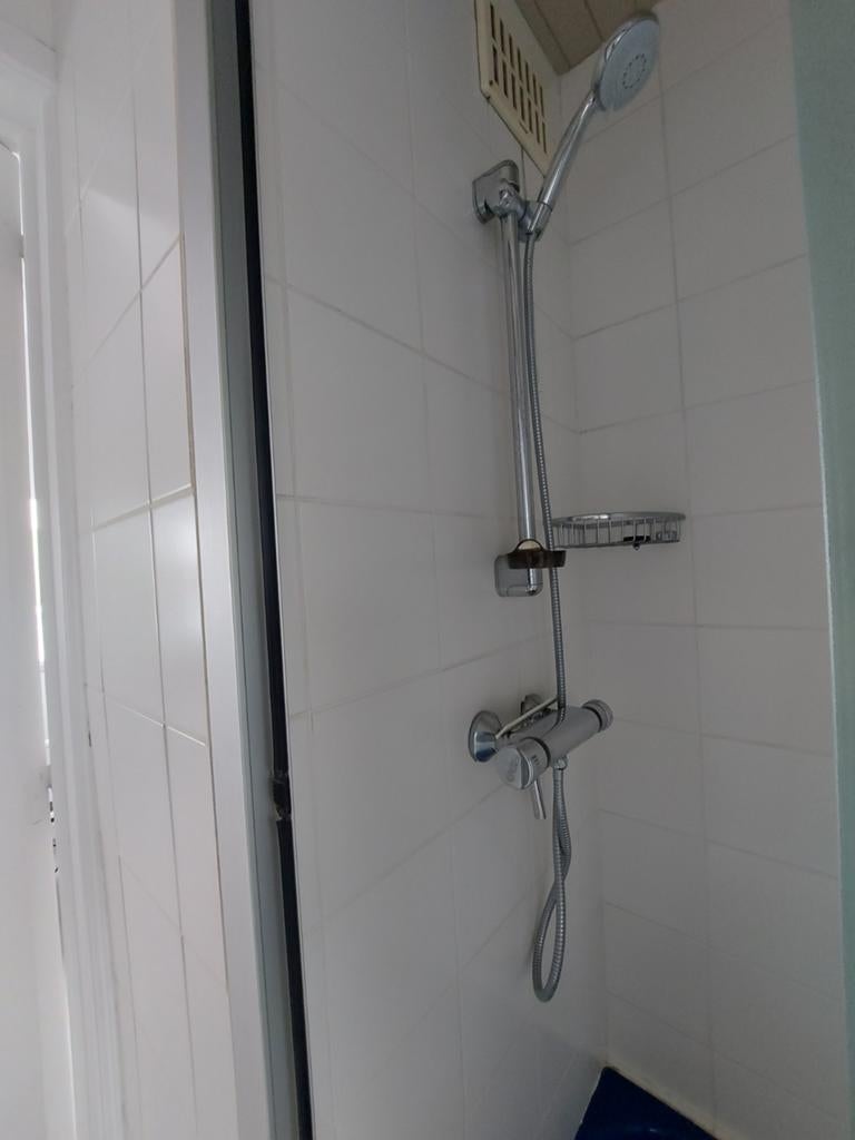 Mitigeur de douche et pulvérisateur à main avec flexible, Bricolage & Construction, Sanitaire, Enlèvement, Utilisé, Chrome, Robinet