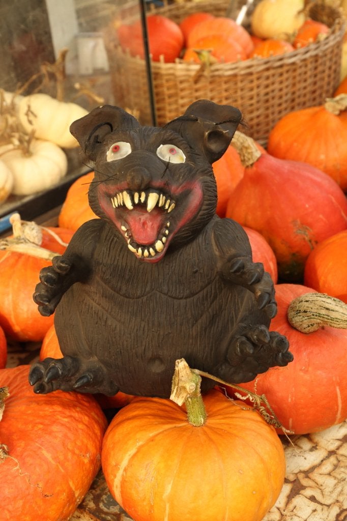 Gros rat rieur d'Halloween, Divers, Enlèvement, Utilisé