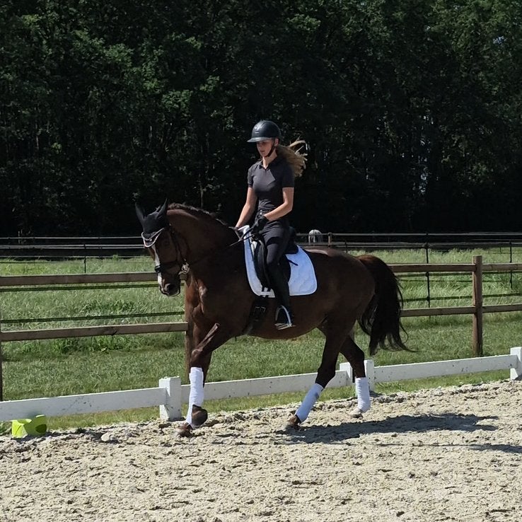 Dressuur/ allround merrie, Dieren en Toebehoren, Merrie