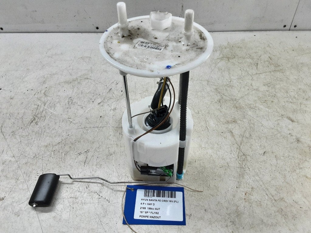 BRANDSTOFPOMP Hyundai Santa Fe III (DM) (311202W950), Gebruikt, Mevr. I. Hauben, Hyundai, Rue de l'Espoir 34 34
4030  GRIVEGNÉE, BE