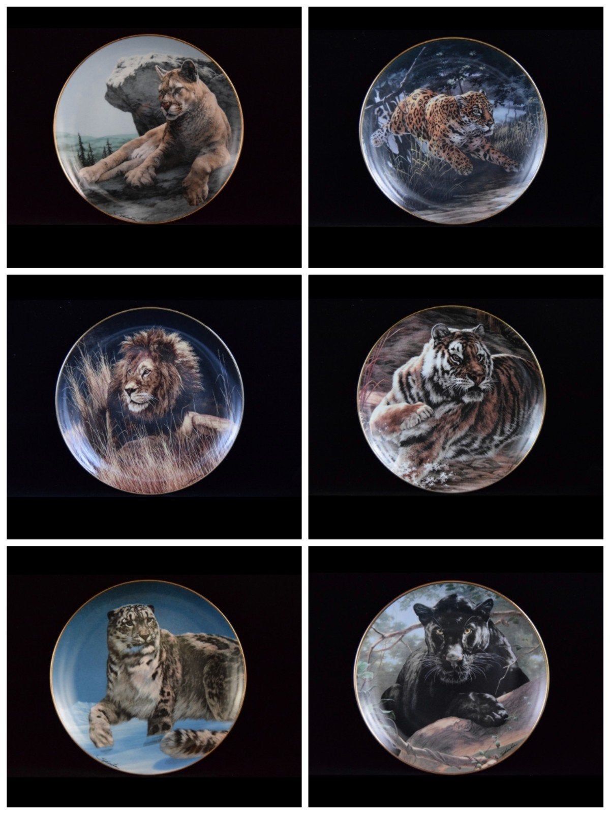 6 Assiettes de porcelaine avec des fauves, Antiquités & Art, Enlèvement