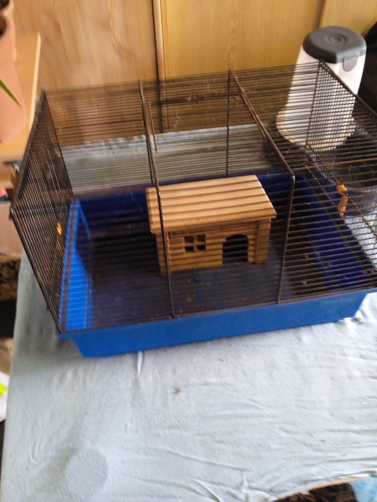 Kooi, Dieren en Toebehoren, Ophalen, Gebruikt, Kooi, Hamster