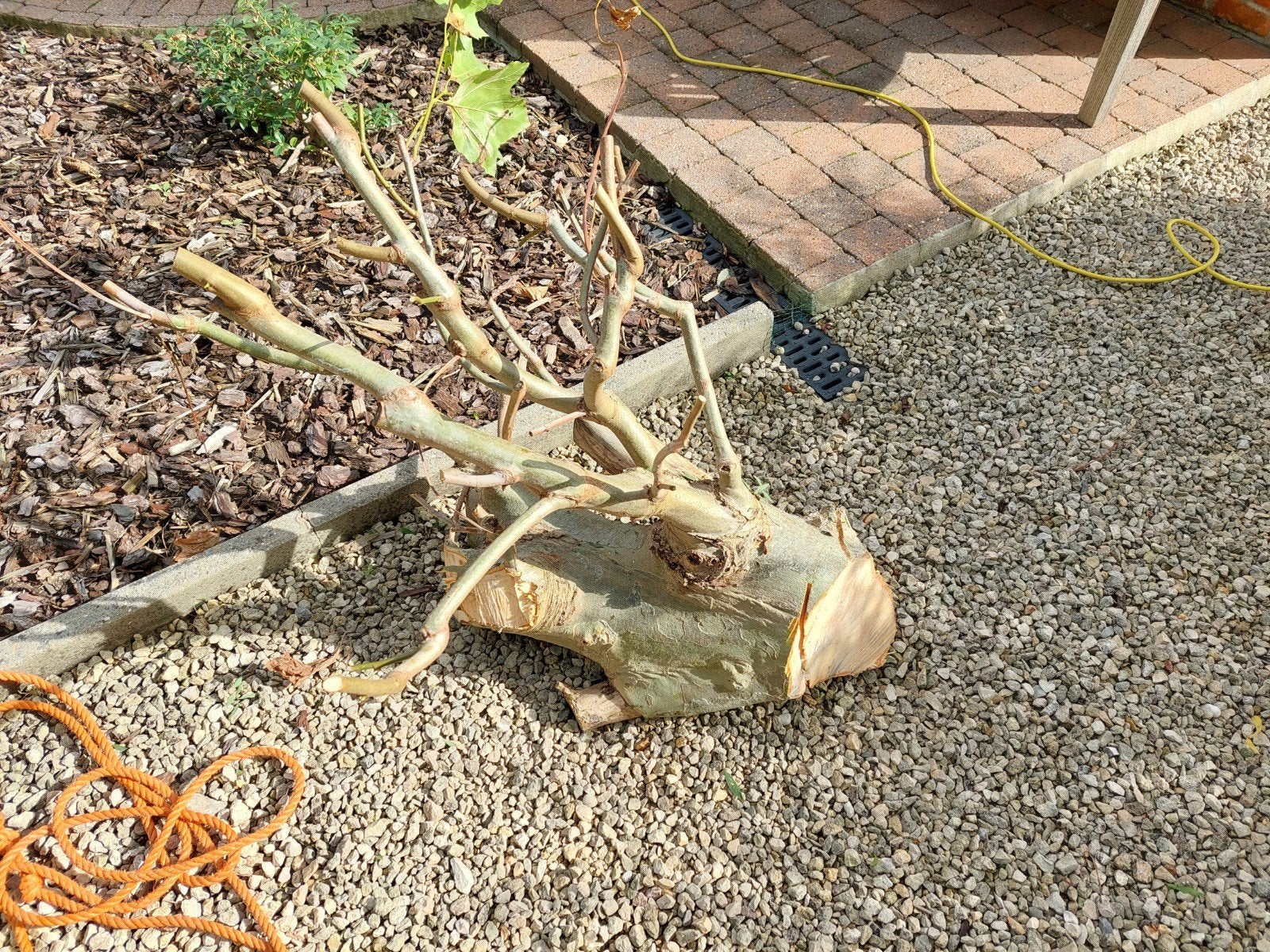 brandhout, Tuin en Terras, Ophalen