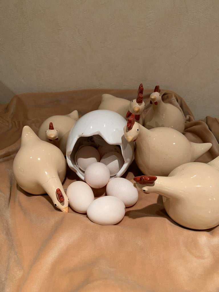 Poulets ou œufs de race Serama, Animaux & Accessoires, Volatiles, Poule ou poulet