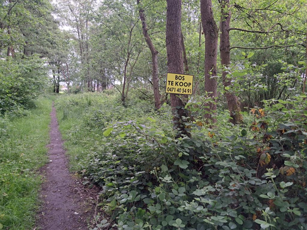 forêt située dans une zone agricole de Nijlen/Kessel, Immo