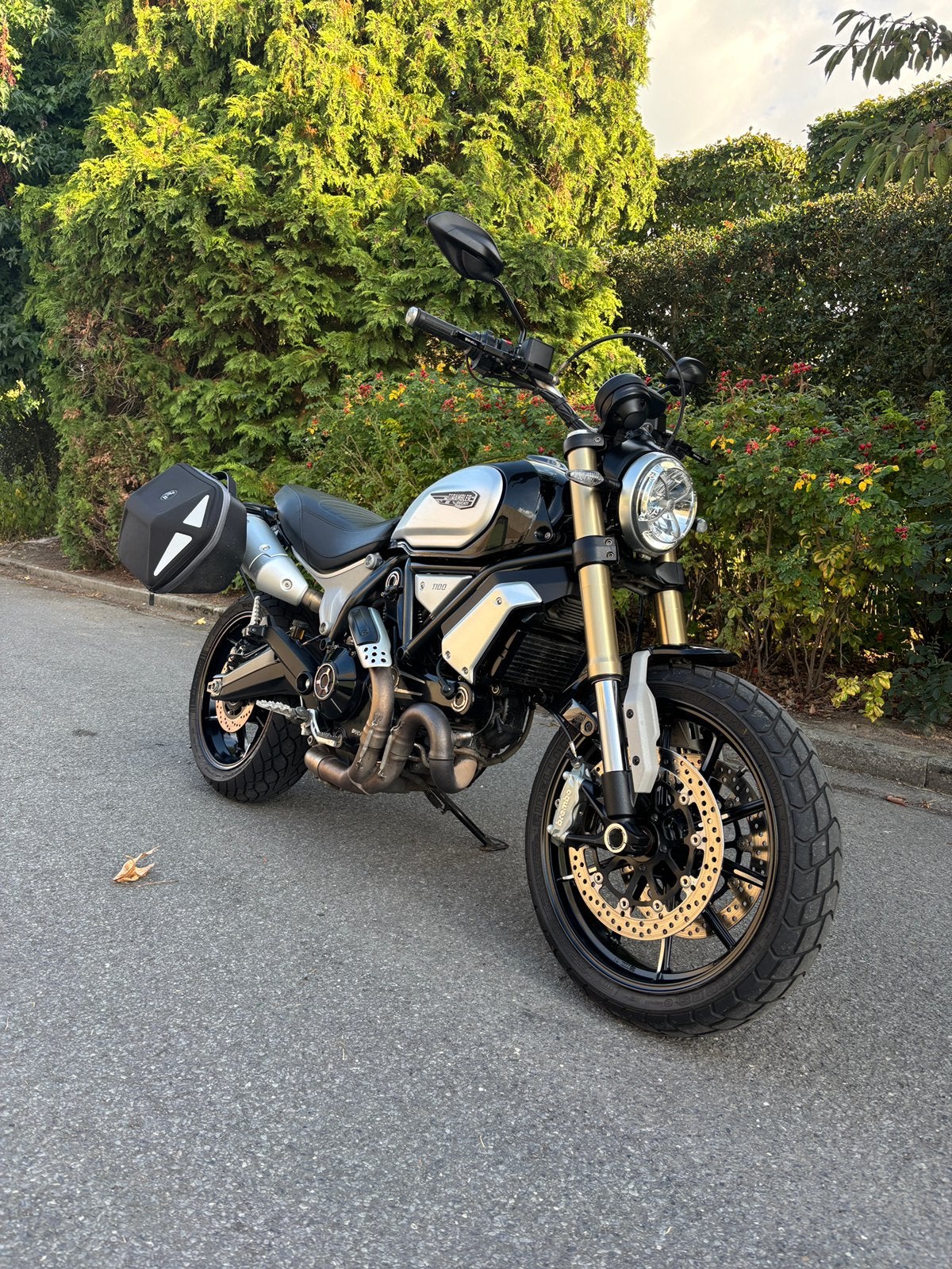 Ducati Scrambler 1100, Motoren, 2 cilinders, Occasion, Motorrijbewijs A, Bedrijf