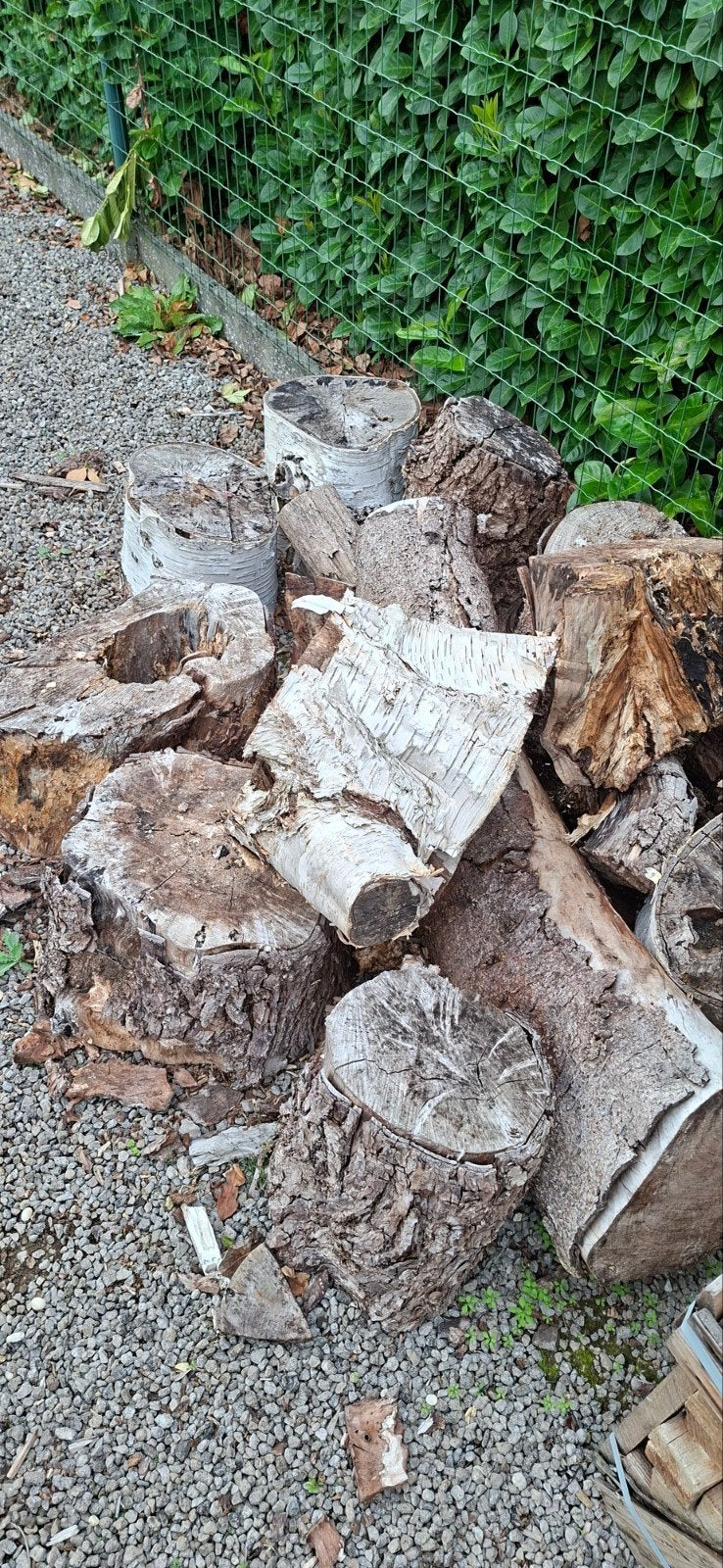 Gratis brandhout, Enlèvement
