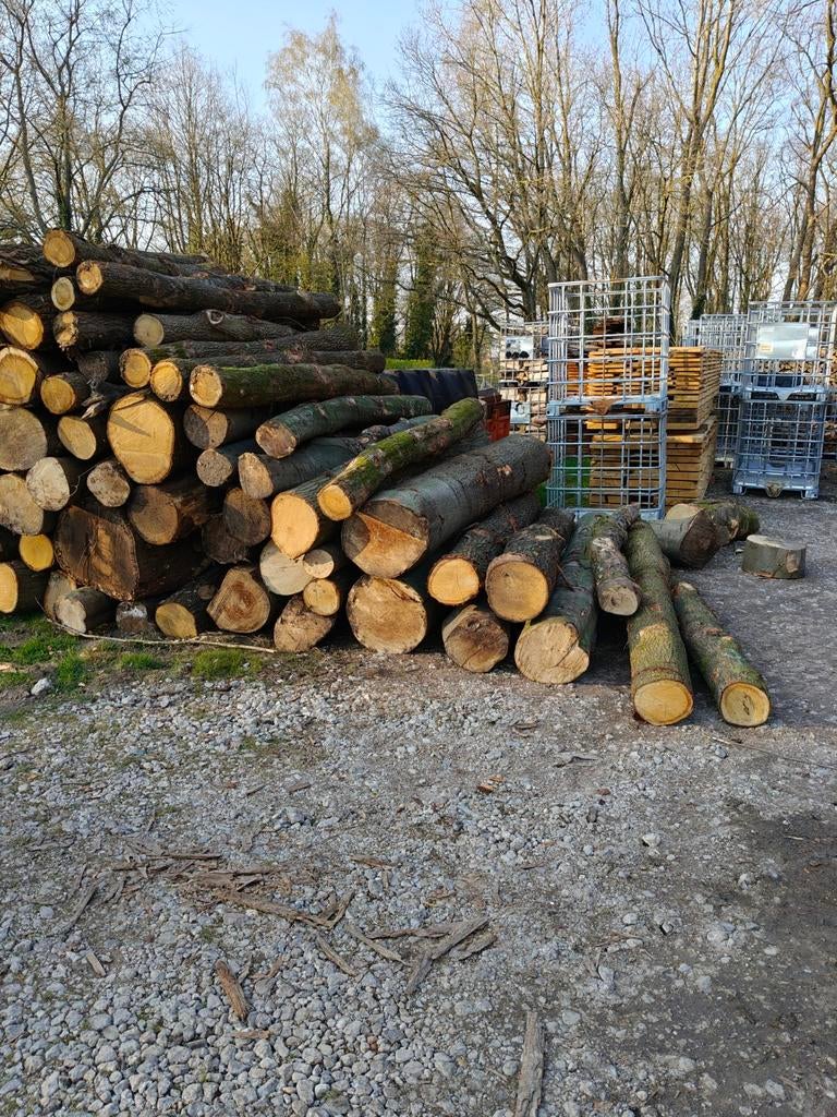 Vers hardhout mengeling brandhout, Ophalen of Verzenden