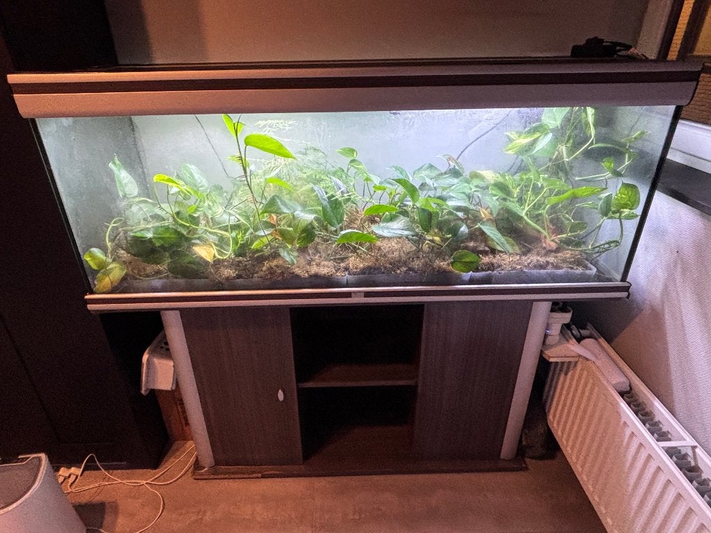 Aquarium 150x50x60, Ophalen, Gebruikt, Aquariummeubel, Inclusief toebehoren