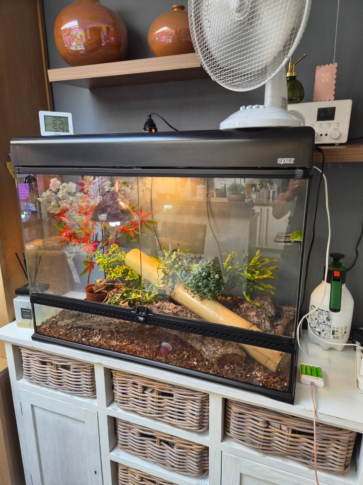 Exo terrarium compleet, Animaux & Accessoires, Reptiles & Amphibiens | Accessoires, Enlèvement