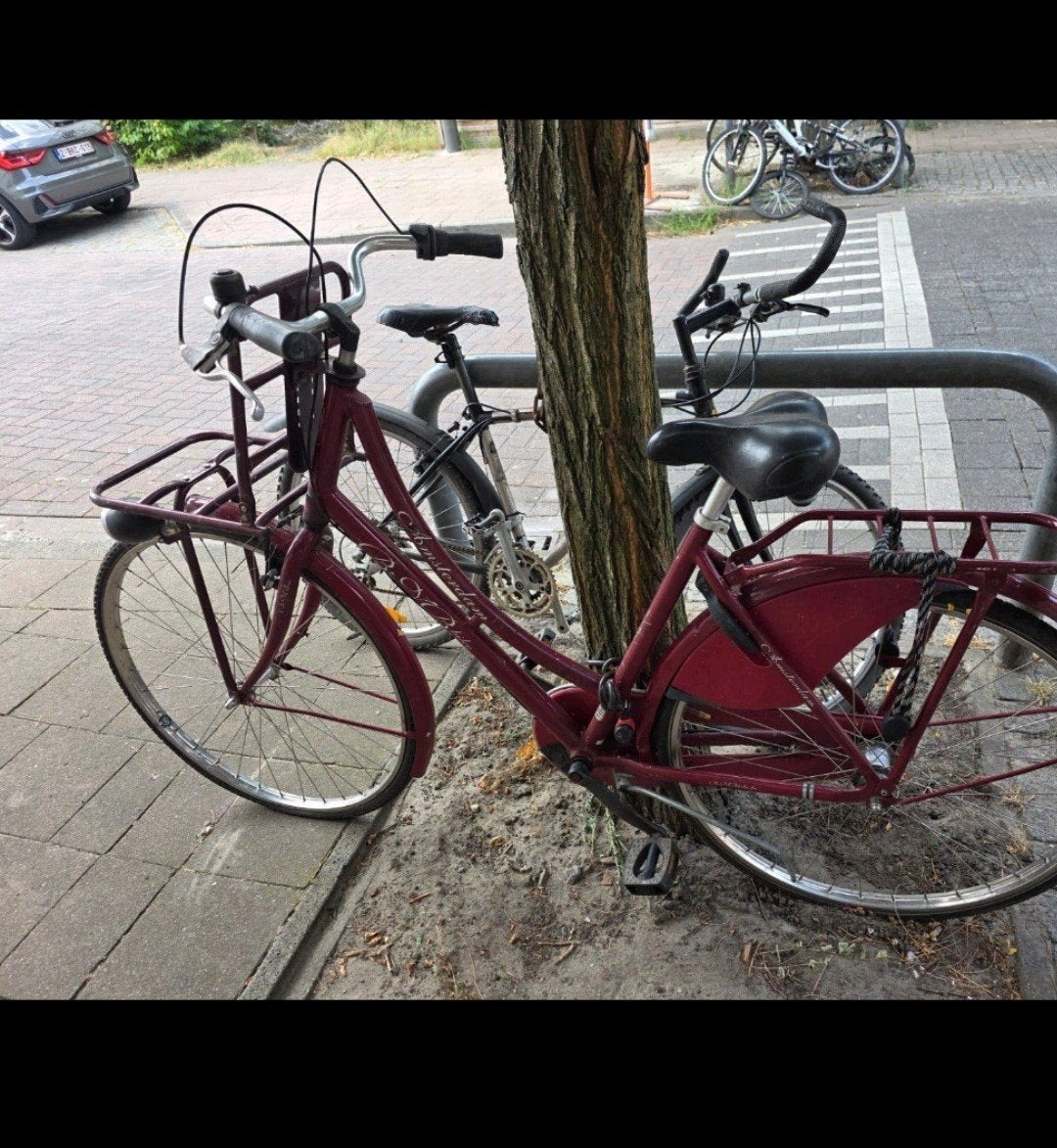 Rode stadsfiets, Fietsen en Brommers, Fietsen | Dames | Omafietsen, Ophalen, Terugtraprem, Handrem