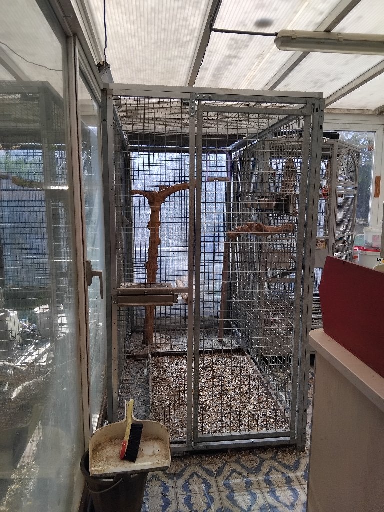Volière gros perroquet, Animaux & Accessoires, Enlèvement, Utilisé, Métal, Volière