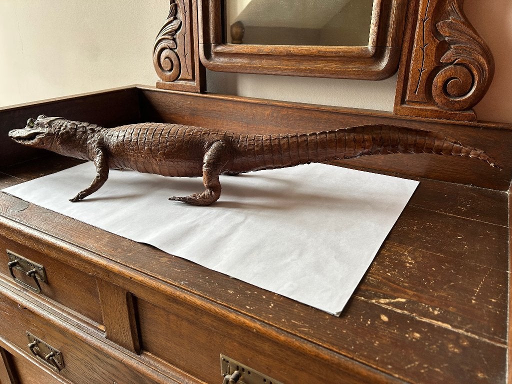 Caïman monté, Collections, Collections Animaux, Enlèvement ou Envoi, Utilisé, Reptile ou Amphibien, Statue ou Figurine