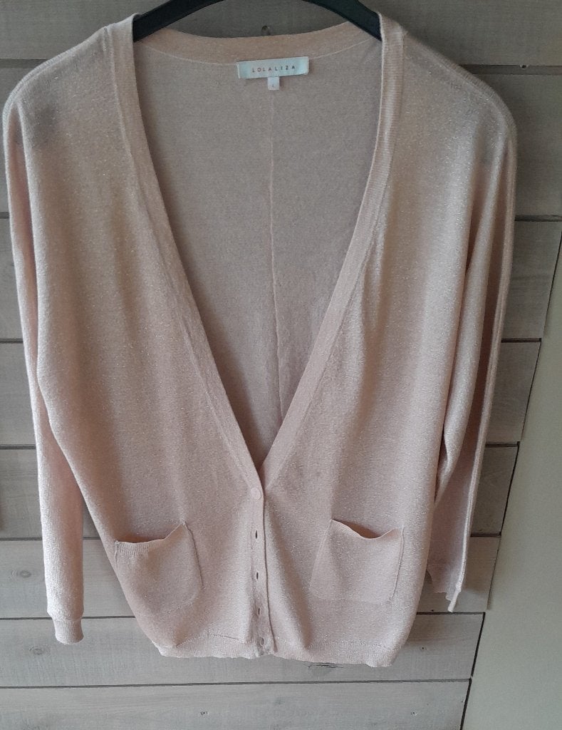 Gilet, Ophalen of Verzenden, Maat 42/44 (L)
