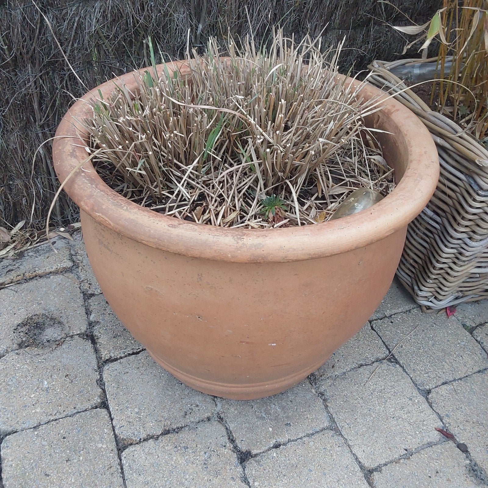 Grote bloempot met siergras, Tuin en Terras, Bloempotten, Ophalen