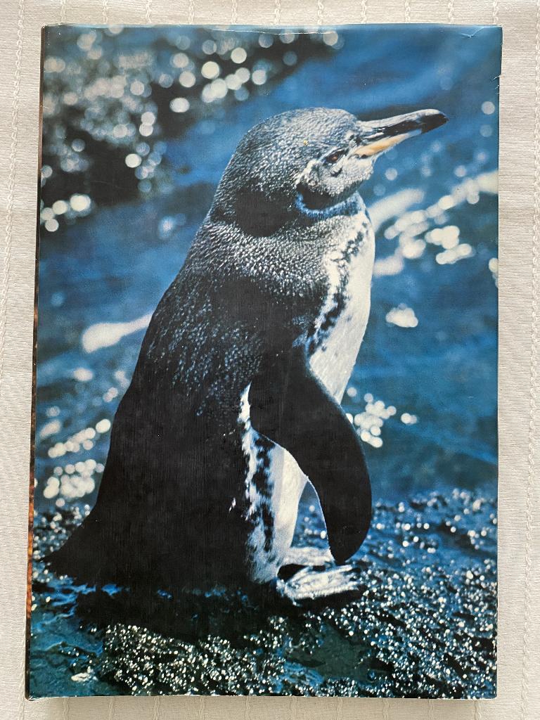 Dieren, Livres, Animaux & Animaux domestiques, Autres espèces, Enlèvement, Utilisé, Zie beschrijving