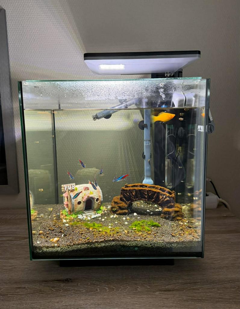 Aquarium, Dieren en Toebehoren, Ophalen, Zo goed als nieuw