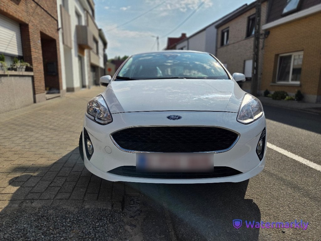 Ford Fiesta 1,1 l Inj. Cargo léger en classe affaires, Autos, Ford, Achat, 2 places, Boîte manuelle, 101 g/km