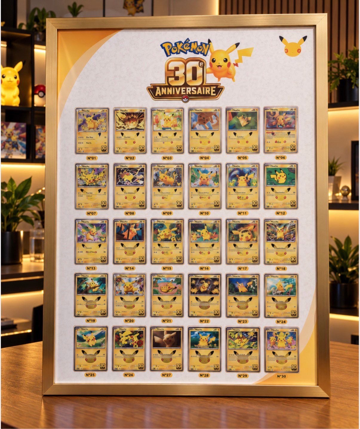 Cadre pokemon 30 ans, Collections, Enlèvement