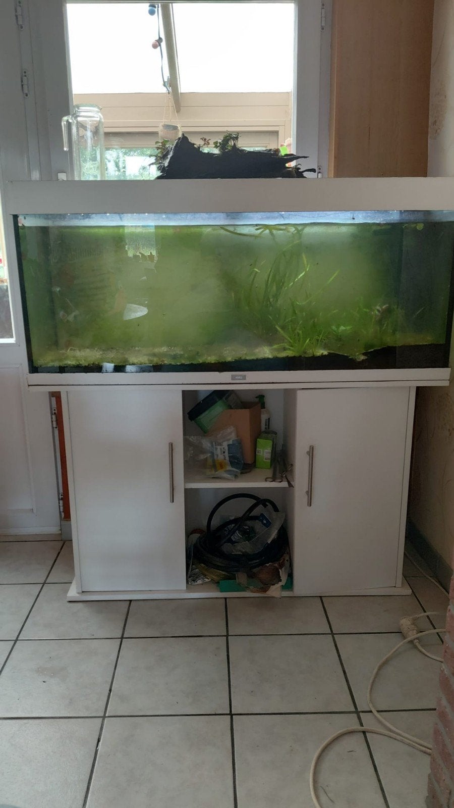 Aquarium Juwel Rio 240 avec meuble, Animaux & Accessoires, Enlèvement, Utilisé, Juwel